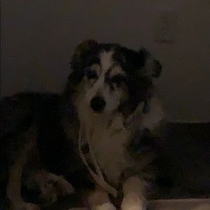 Meet your Posher, Sonja